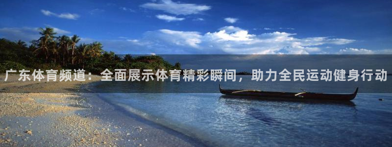 河豚直播nba免费观看：广东体育频道：全面展示体育精彩瞬间，助力全民运动健身行动