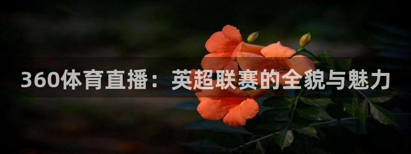 河豚直播体育app下载：360体育直播：英超联赛的全貌与魅力