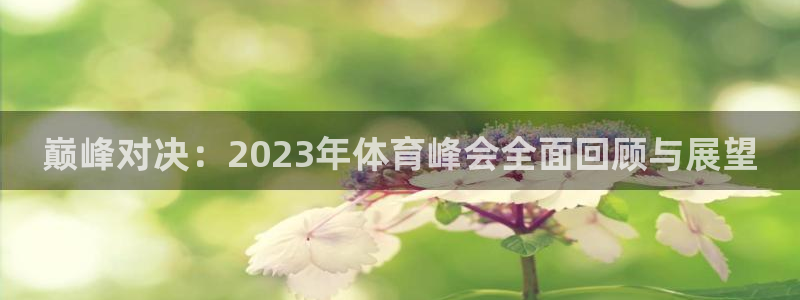 河豚直播体育app下载：巅峰对决：2023年体育峰会全面回顾与展望