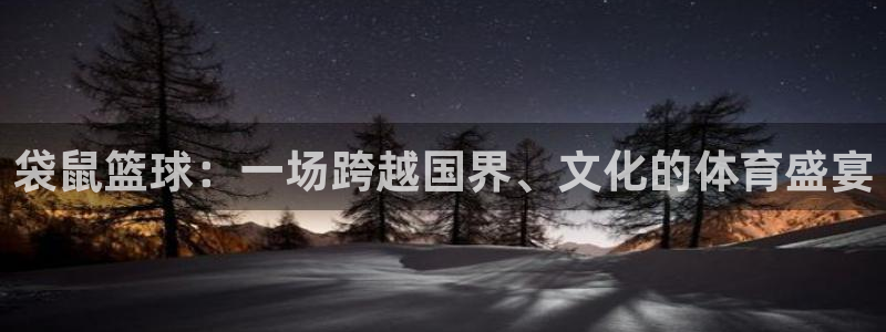 河豚直播体育app下载：袋鼠篮球：一场跨越国界、文化的体育盛宴