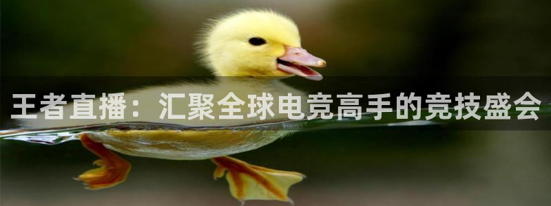 河豚直播：王者直播：汇聚全球电竞高手的竞技盛会
