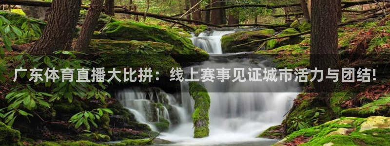 河豚直播nba免费观看下载：广东体育直播大比拼：线上赛事见证城市活力与团结!