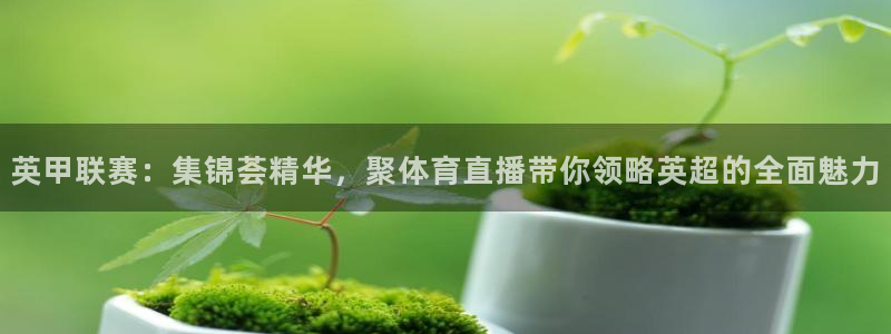 河豚直播看球app下载最新版：英甲联赛：集锦荟精华，聚体育直播带你领略英超的全面魅力