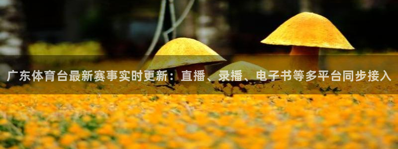 河豚直播nba免费观看下载：广东体育台最新赛事实时更新：直播、录播、电子书等多平台同步接入
