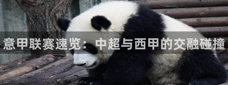 河豚直播nba免费观看：意甲联赛速览：中超与西甲的交融碰撞
