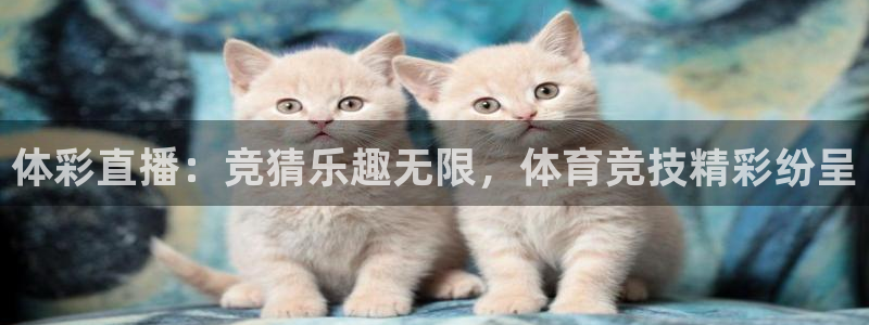 河豚直播nba：体彩直播：竞猜乐趣无限，体育竞技精彩纷呈