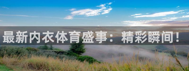 河豚直播：最新内衣体育盛事：精彩瞬间！